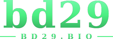 bd29 logo